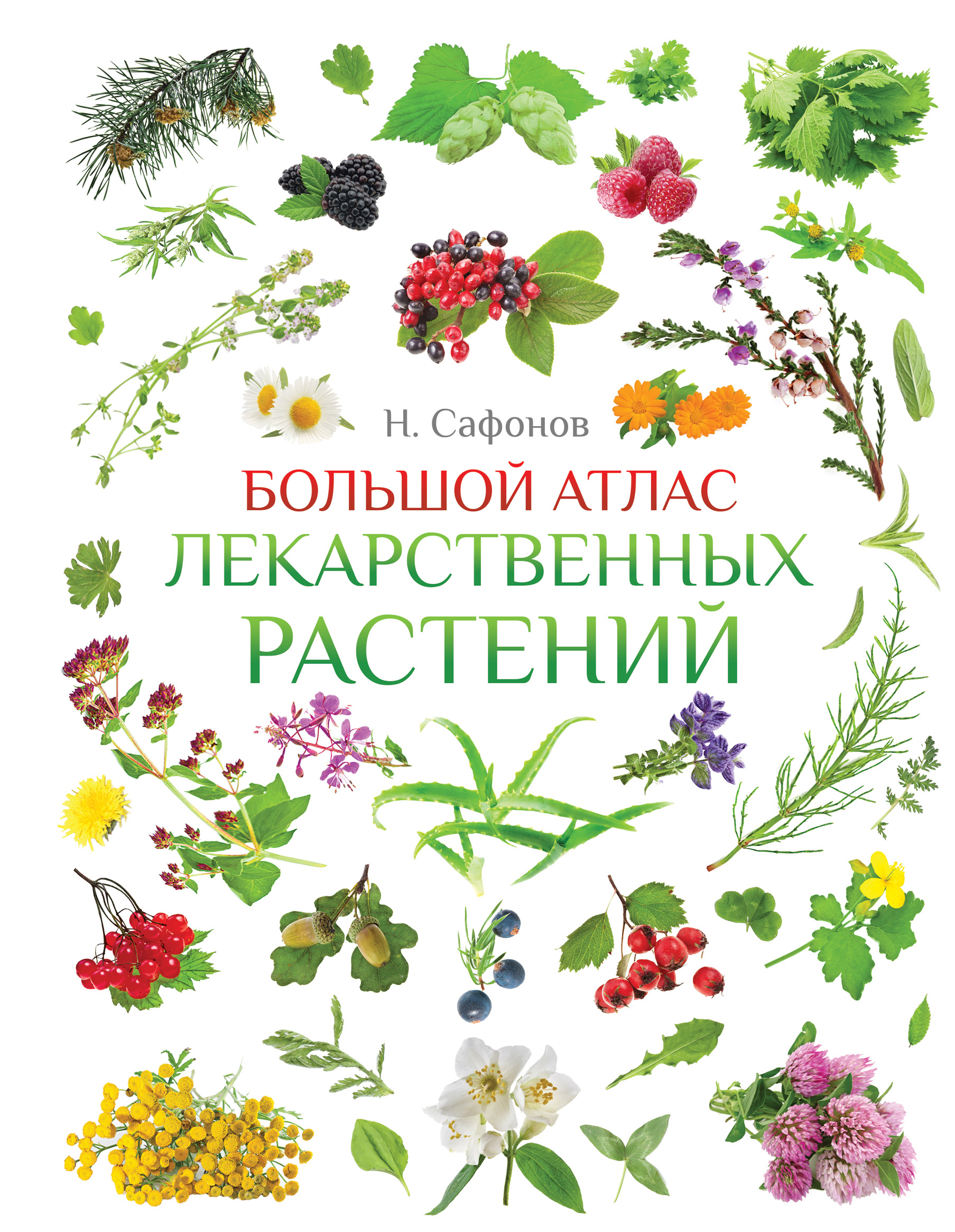 ПОЛНЫЙ АТЛАС ЛЕКАРСТВЕННЫХ РАСТЕНИЙ САФОНОВ СКАЧАТЬ БЕСПЛАТНО ПОЛНЫЙ АТЛАС ЛЕКАРСТВЕННЫХ РАСТЕНИЙ САФОНОВ СКАЧАТЬ БЕСПЛАТНО